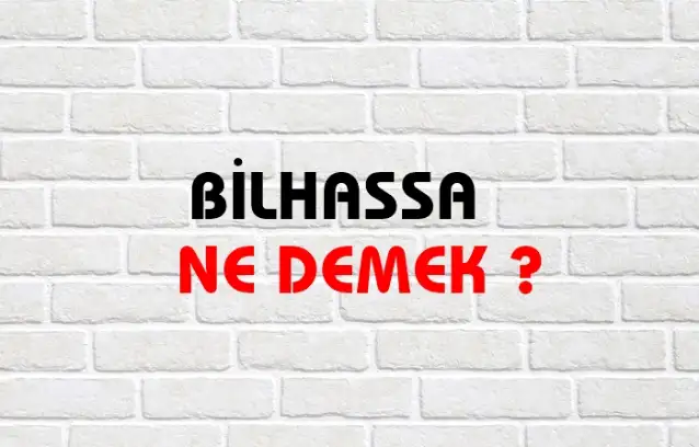 Bilhassa Ne Demek, Ne Anlama Gelir? Bilhassa Kelimesi TDK Sözlük Anlamı Nedir?