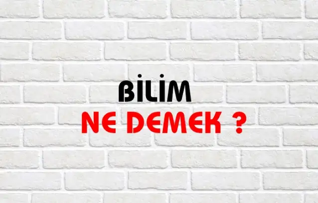 Bilim Ne Demek, Ne Anlama Gelir? Bilim Kelimesi TDK Sözlük Anlamı Nedir?