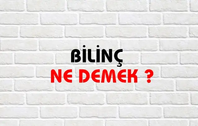 Bilinç Ne Demek, Ne Anlama Gelir? Bilinç Kelimesi TDK Sözlük Anlamı Nedir?