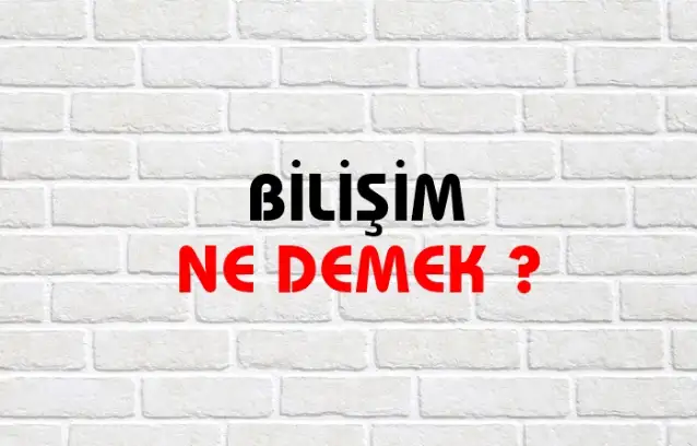 Bilişim Ne Demek, Ne Anlama Gelir? Bilişim Kelimesi TDK Sözlük Anlamı Nedir?
