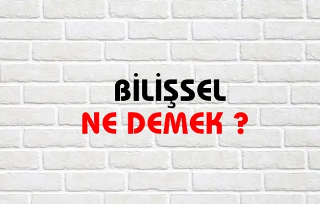Bilişsel Ne Demek, Ne Anlama Gelir? Bilişsel Kelimesi TDK Sözlük Anlamı Nedir?