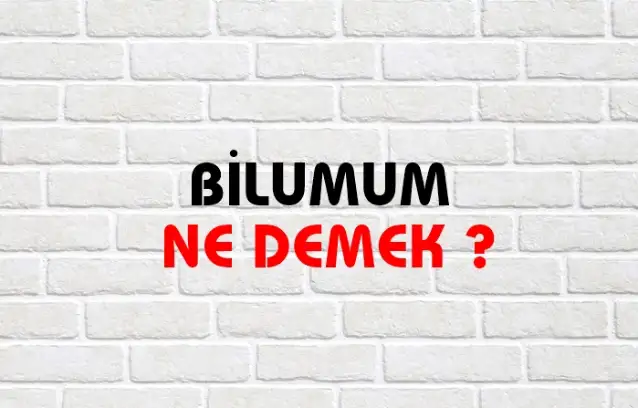 Bilumum Ne Demek, Ne Anlama Gelir? Bilumum Kelimesi TDK Sözlük Anlamı Nedir?