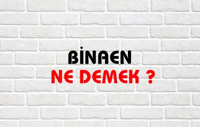 Binaen Ne Demek, Ne Anlama Gelir? Binaen Kelimesi TDK Sözlük Anlamı Nedir?
