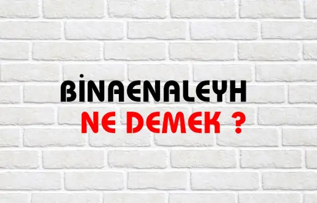 Binaenaleyh Ne Demek, Ne Anlama Gelir? Binaenaleyh Kelimesi TDK Sözlük Anlamı Nedir?