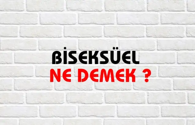 Biseksüel Ne Demek, Ne Anlama Gelir? Biseksüel Kelimesi TDK Sözlük Anlamı Nedir?