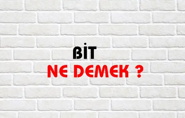 Bit Ne Demek, Ne Anlama Gelir? Bit Kelimesi TDK Sözlük Anlamı Nedir?