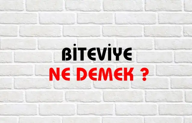 Biteviye Ne Demek, Ne Anlama Gelir? Biteviye Kelimesi TDK Sözlük Anlamı Nedir?