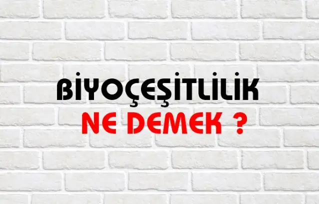 Biyoçeşitlilik Ne Demek, Ne Anlama Gelir? Biyoçeşitlilik Kelimesi TDK Sözlük Anlamı Nedir?