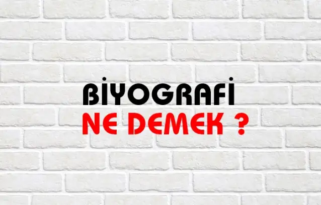 Biyografi Ne Demek, Ne Anlama Gelir? Biyografi Kelimesi TDK Sözlük Anlamı Nedir?