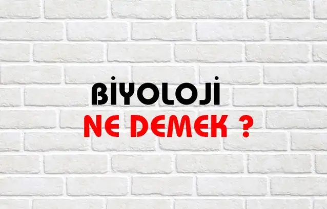 Biyoloji Ne Demek, Ne Anlama Gelir? Biyoloji Kelimesi TDK Sözlük Anlamı Nedir?