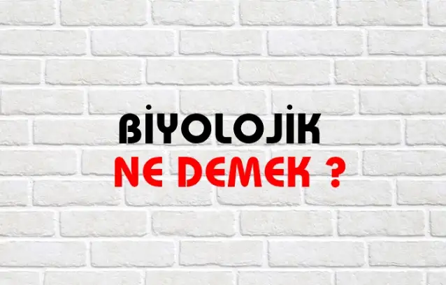 Biyolojik Ne Demek, Ne Anlama Gelir? Biyolojik Kelimesi TDK Sözlük Anlamı Nedir?