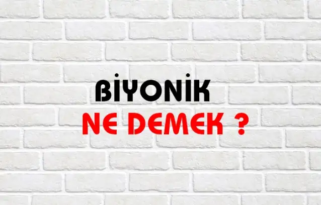 Biyonik Ne Demek, Ne Anlama Gelir? Biyonik Kelimesi TDK Sözlük Anlamı Nedir?