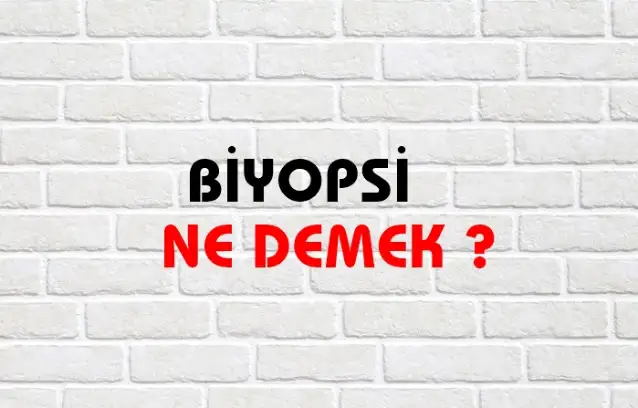 Biyopsi Ne Demek, Ne Anlama Gelir? Biyopsi Kelimesi TDK Sözlük Anlamı Nedir?