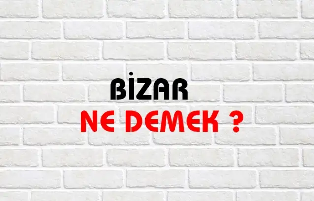 Bizar Ne Demek, Ne Anlama Gelir? Bizar Kelimesi TDK Sözlük Anlamı Nedir?