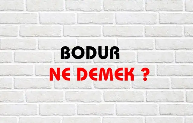 Bodur Ne Demek, Ne Anlama Gelir? Bodur Kelimesi TDK Sözlük Anlamı Nedir?