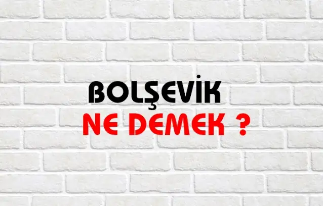 Bolşevik Ne Demek, Ne Anlama Gelir? Bolşevik Kelimesi TDK Sözlük Anlamı Nedir?