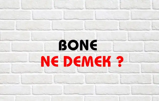 Bone Ne Demek, Ne Anlama Gelir? Bone Kelimesi TDK Sözlük Anlamı Nedir?