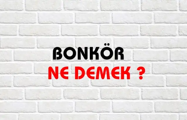 Bonkör Ne Demek, Ne Anlama Gelir? Bonkör Kelimesi TDK Sözlük Anlamı Nedir?