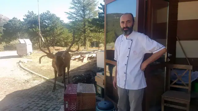 Geyik Mete'ye kötü haber: Artık restorandan yemek yiyemeyecek