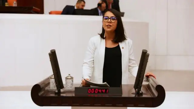TİP vekili Kadıgil liste tartışmalarıyla ilgili soruları yanıtladı