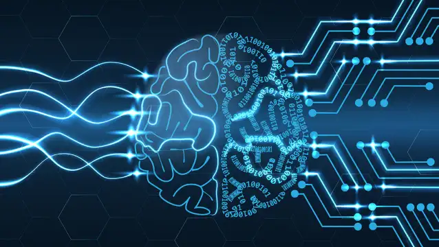 Avustralyalı bilim insanları, beyin dalgalarındaki düşünceleri çözen yapay zeka modeli geliştirdi