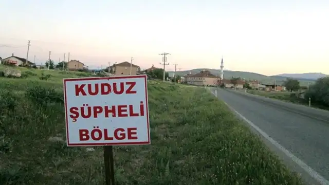 Adıyaman'da iki mahalleye kuduz karantinası