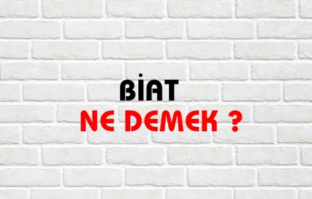 Bonservis Ne Demek, Ne Anlama Gelir? Bonservis Kelimesi TDK Sözlük Anlamı Nedir?