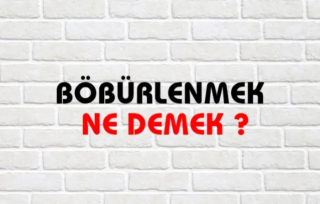 Böbürlenmek Ne Demek, Ne Anlama Gelir? Böbürlenmek Kelimesi TDK Sözlük Anlamı Nedir?