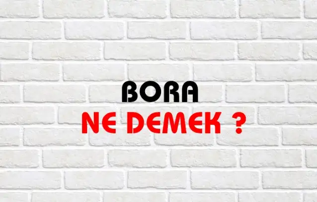 Bora Ne Demek, Ne Anlama Gelir? Bora Kelimesi TDK Sözlük Anlamı Nedir?