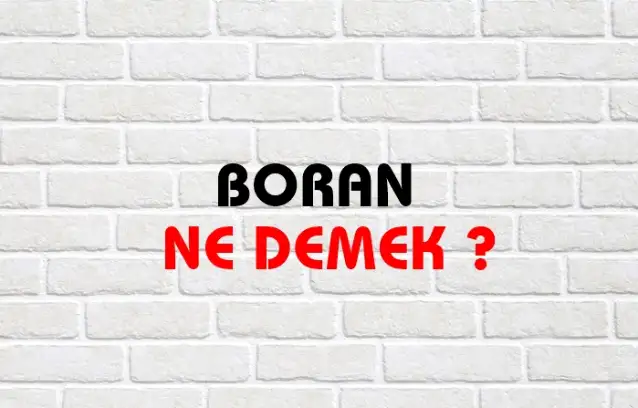 Boran Ne Demek, Ne Anlama Gelir? Boran Kelimesi TDK Sözlük Anlamı Nedir?