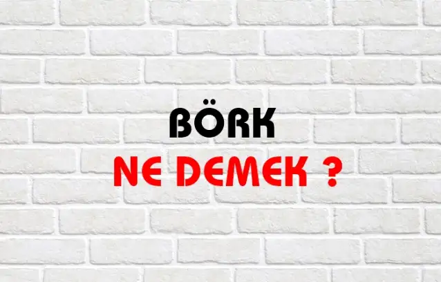 Börk Ne Demek, Ne Anlama Gelir? Börk Kelimesi TDK Sözlük Anlamı Nedir?