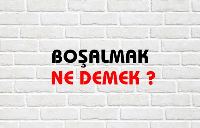 Boşalmak Ne Demek, Ne Anlama Gelir? Boşalmak Kelimesi TDK Sözlük Anlamı Nedir?