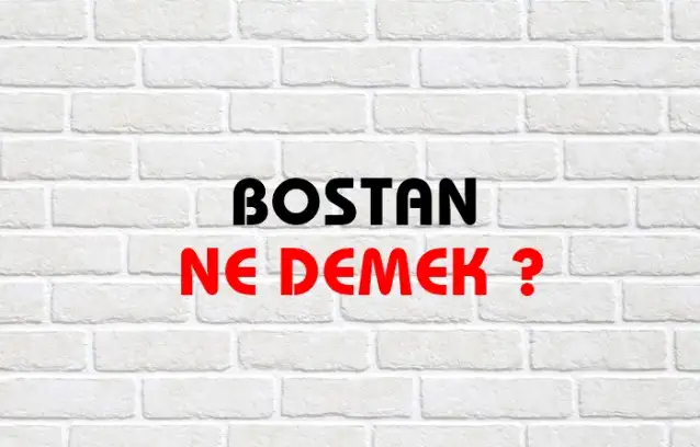 Bostan Ne Demek, Ne Anlama Gelir? Bostan Kelimesi TDK Sözlük Anlamı Nedir?