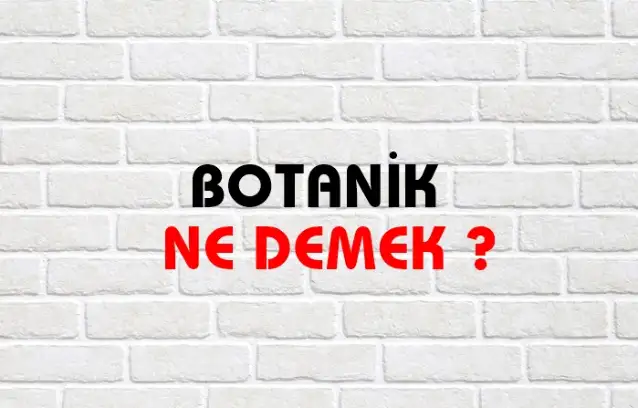 Botanik Ne Demek, Ne Anlama Gelir? Botanik Kelimesi TDK Sözlük Anlamı Nedir?