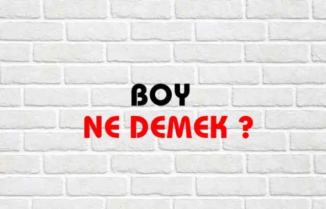 Boy Ne Demek, Ne Anlama Gelir? Boy Kelimesi TDK Sözlük Anlamı Nedir?