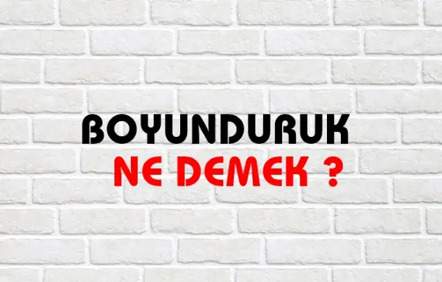 Boyunduruk Ne Demek, Ne Anlama Gelir? Boyunduruk Kelimesi TDK Sözlük Anlamı Nedir?