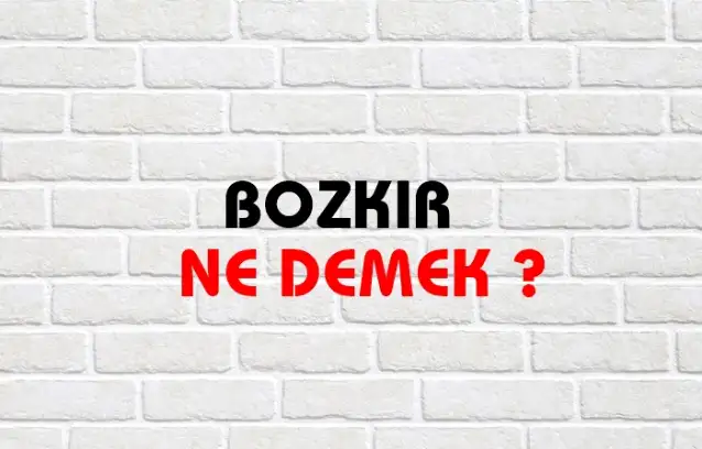 Bozkır Ne Demek, Ne Anlama Gelir? Bozkır Kelimesi TDK Sözlük Anlamı Nedir?