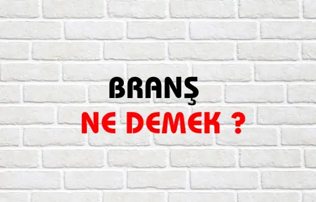 Branş Ne Demek, Ne Anlama Gelir? Branş Kelimesi TDK Sözlük Anlamı Nedir?