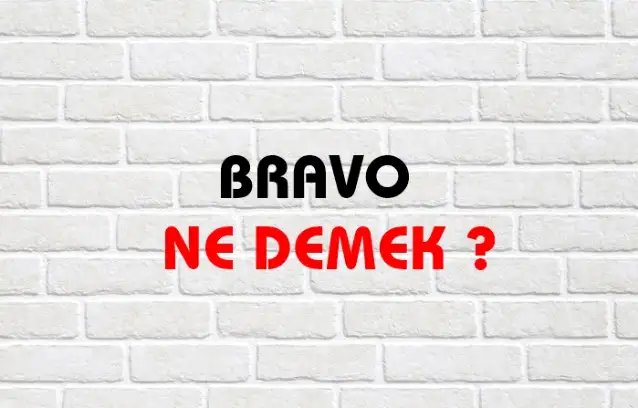 Bravo Ne Demek, Ne Anlama Gelir? Bravo Kelimesi TDK Sözlük Anlamı Nedir?