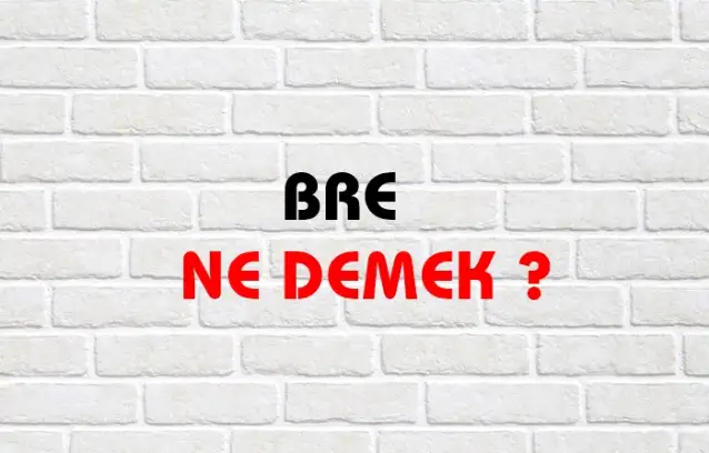 Bre Ne Demek, Ne Anlama Gelir? Bre Kelimesi TDK Sözlük Anlamı Nedir?