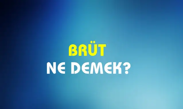 Brüt Ne Demek, Ne Anlama Gelir? Brüt Kelimesi TDK Sözlük Anlamı Nedir?