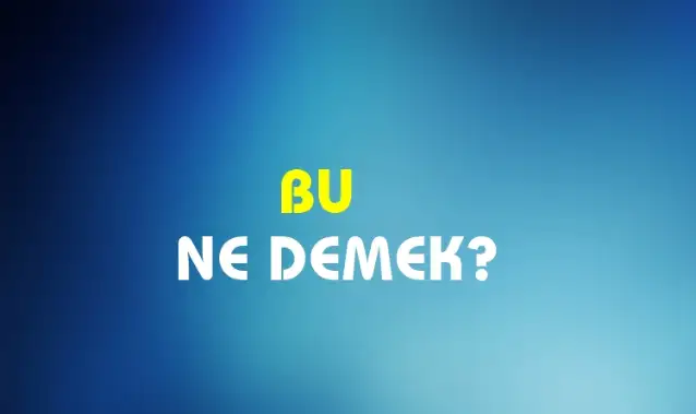 Bu Ne Demek, Ne Anlama Gelir? Bu Kelimesi TDK Sözlük Anlamı Nedir?