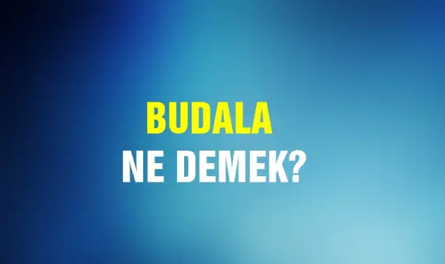 Budala Ne Demek, Ne Anlama Gelir? Budala Kelimesi TDK Sözlük Anlamı Nedir?