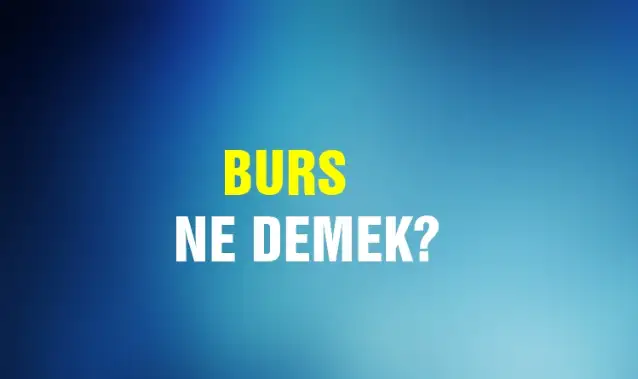 Burs Ne Demek, Ne Anlama Gelir? Burs Kelimesi TDK Sözlük Anlamı Nedir?