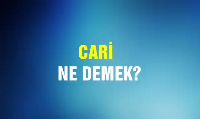 Cari Ne Demek, Ne Anlama Gelir? Cari Kelimesi TDK Sözlük Anlamı Nedir?