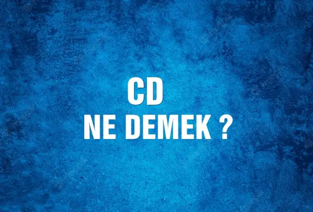Cd Ne Demek, Ne Anlama Gelir? Cd Kelimesi TDK Sözlük Anlamı Nedir?