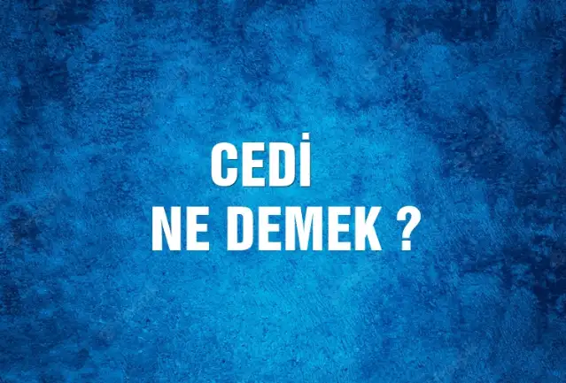 Cedi Ne Demek, Ne Anlama Gelir? Cedi Kelimesi TDK Sözlük Anlamı Nedir?