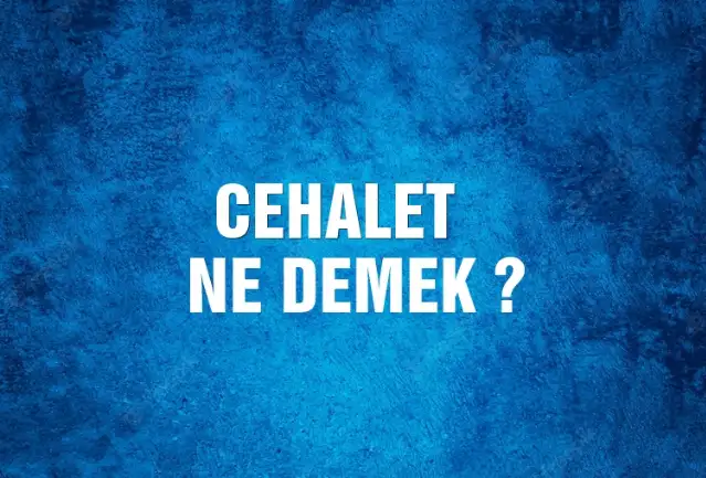 Cehalet Ne Demek, Ne Anlama Gelir? Cehalet Kelimesi TDK Sözlük Anlamı Nedir?