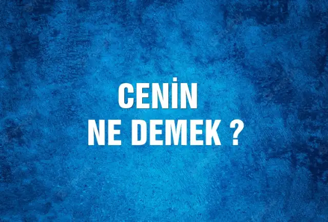 Cenin Ne Demek, Ne Anlama Gelir? Cenin Kelimesi TDK Sözlük Anlamı Nedir?