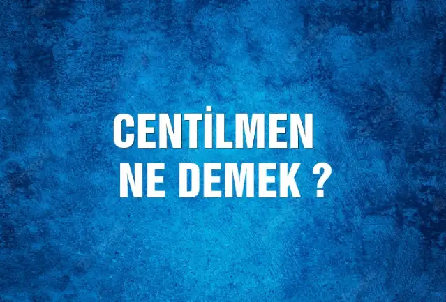 Centilmen Ne Demek, Ne Anlama Gelir? Centilmen Kelimesi TDK Sözlük Anlamı Nedir?